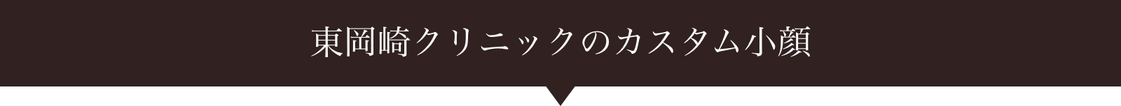 東岡崎クリニックのカスタム小顔