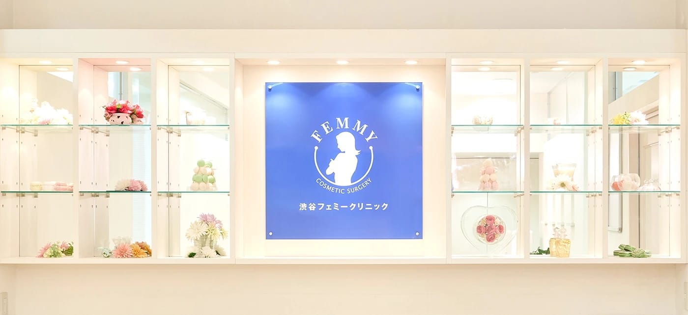 フェミークリニック銀座FV