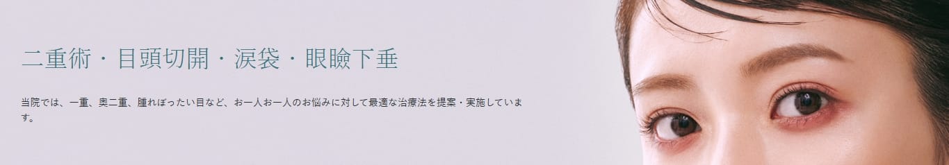 聖心美容クリニックの二重整形FV