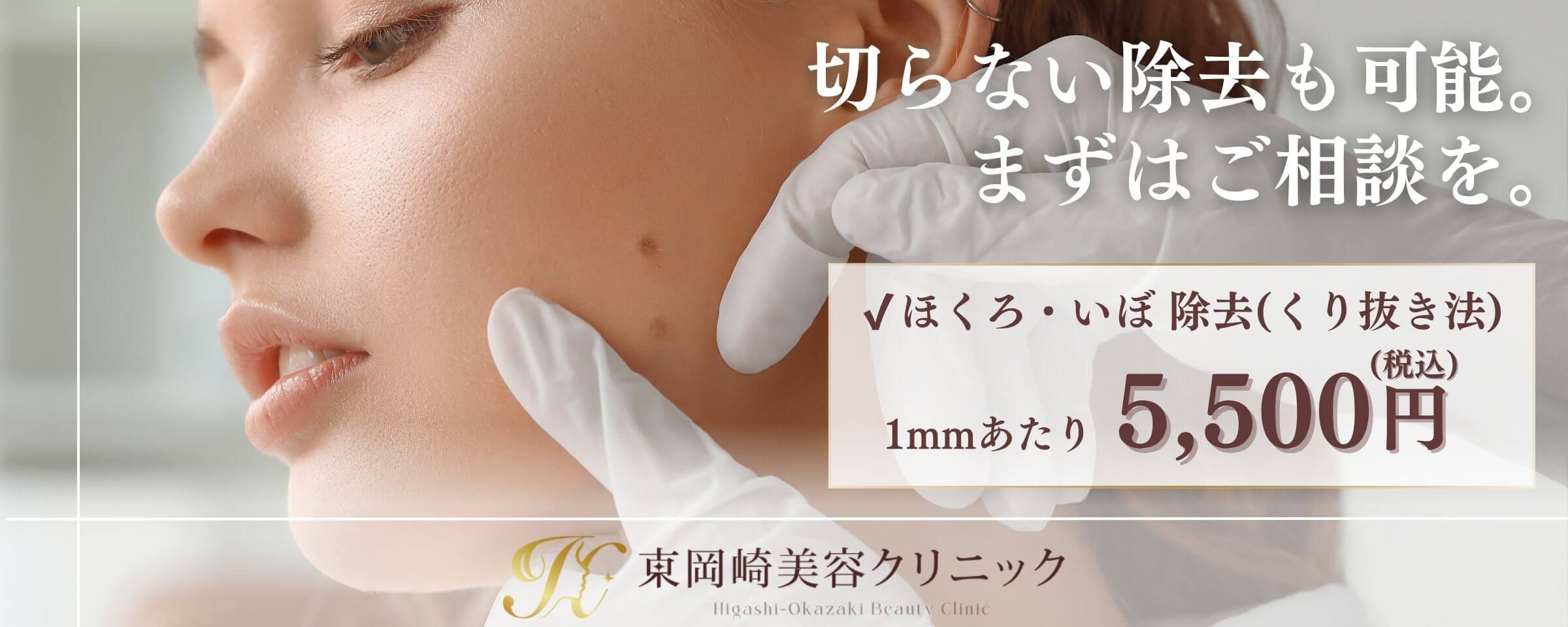 ほくろ・いぼ・タトゥー除去