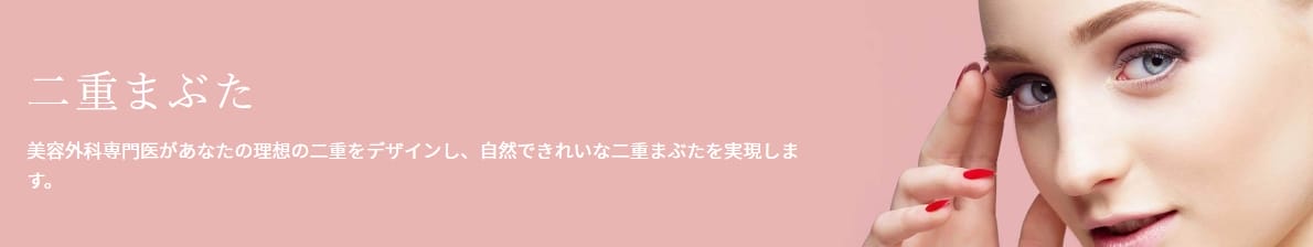 恵聖会クリニック二重整形FV