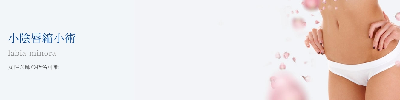 オザキクリニック-LUXE新宿院の小陰唇縮小FV