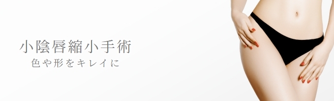 ガーデンクリニック小陰唇縮小FV